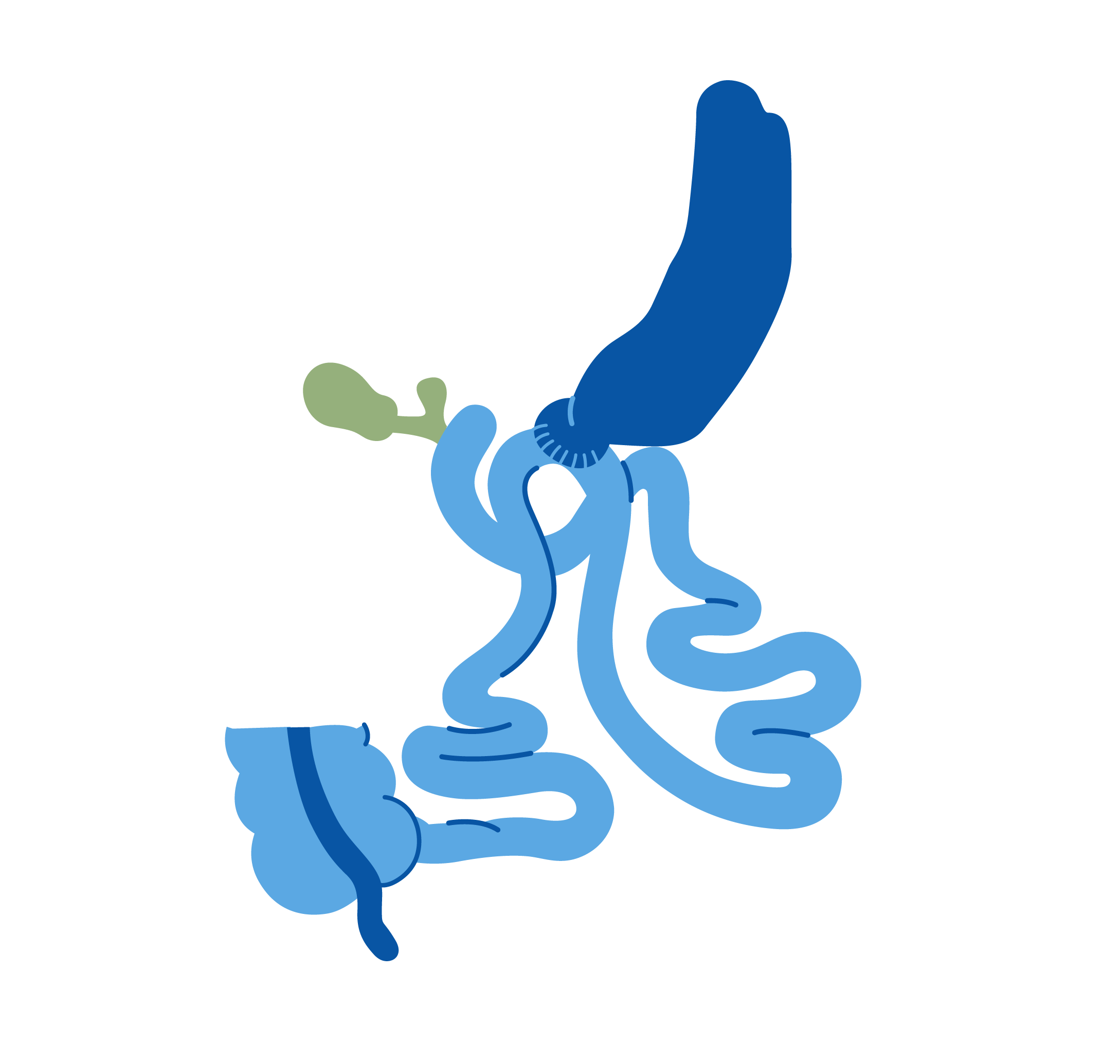 obesidad tipo 2 diabetes mellitus y otras comorbilidades de apnea del sueño obesidad tipo 2 diabetes mellitus y otras comorbilidades de apnea del sueño