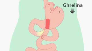 quemadores de grasa abdominal para hombres mercadolibre Aconsejable que quemadores de grasa abdominal para hombres mercadolibre por minutos