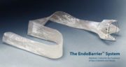 Endobarrier